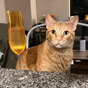 Meet your Posher, Grace